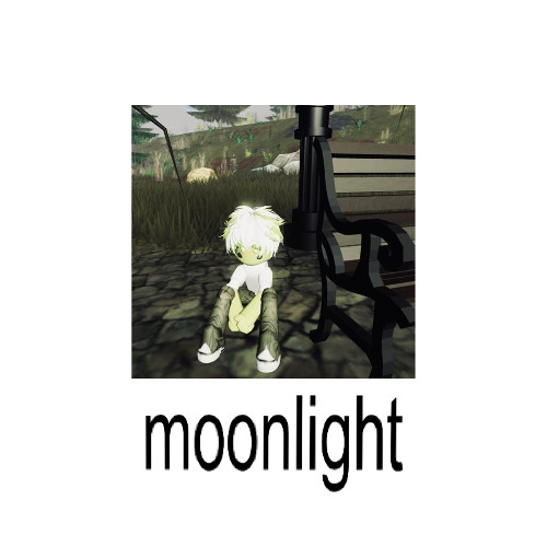 moonlight