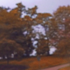 cessation