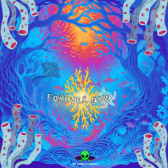 Lysergic Contact
