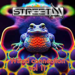 Wired Connection Vol.11