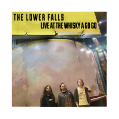 Dirty Windshield ~ The Lower Falls (LIVE)