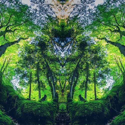 Trajectory, NeuroType - Solace