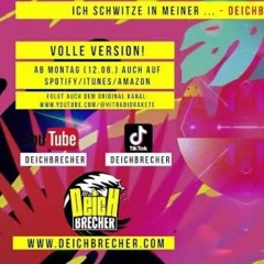 Ich schwitze (VOLLE VERSION) Deichbrecher feat. Hitradio Rakete.m4a