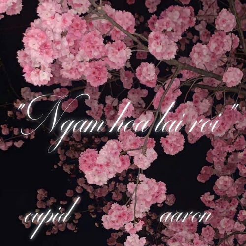 Ngắm hoa lại rơii