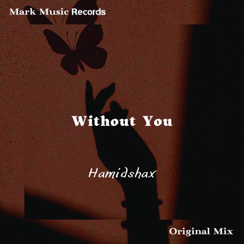 Hamidshax - Without You (Original Mix)