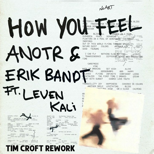 ANOTR & Erik Bandt ft. Leven Kali - How You Feel (Tim Croft's Rework) [Supported By John Summit]