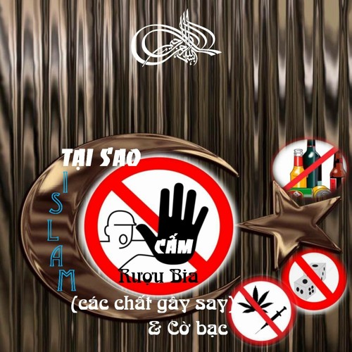 Stream episode TAI SAO ISLAM CAM DUNG RUOU BIA - CAC CHAT GAY SAY VA CO BAC  by Chanlyislam podcast | Listen online for free on SoundCloud