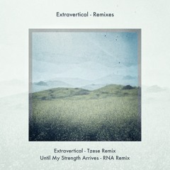 Extravertical (Tzese Remix)
