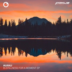 Alkali. - Never Felt