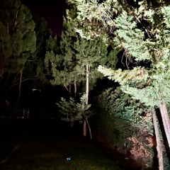 Ghetto luv (Prod.1millionU$D)