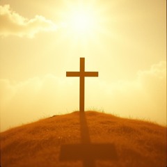 NOT YOUR CROSS TO BEAR