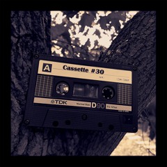 Cassette #30 (Beattape Stream)