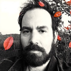 Anything I Say To You Now (Ryan Adams acoustic cover)