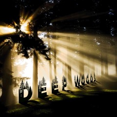Deep Woods FLAG SHIP SET - Organic Progressive Journey (Alex O'Rion, Dmitry Molosh, GMJ)