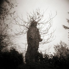 Mourning Process (instrumental version)