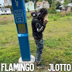 Flamingo Prod. Wante