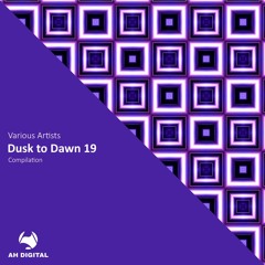 PREMIERE: Waves In Motion - The Funk Fabric [AH Digital]
