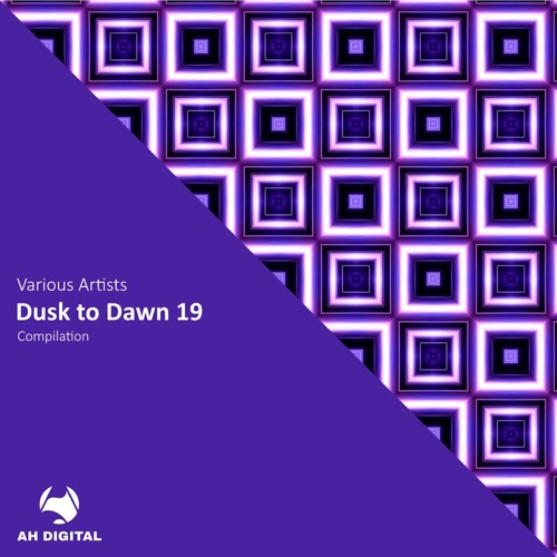 PREMIERE: Waves In Motion - The Funk Fabric [AH Digital]