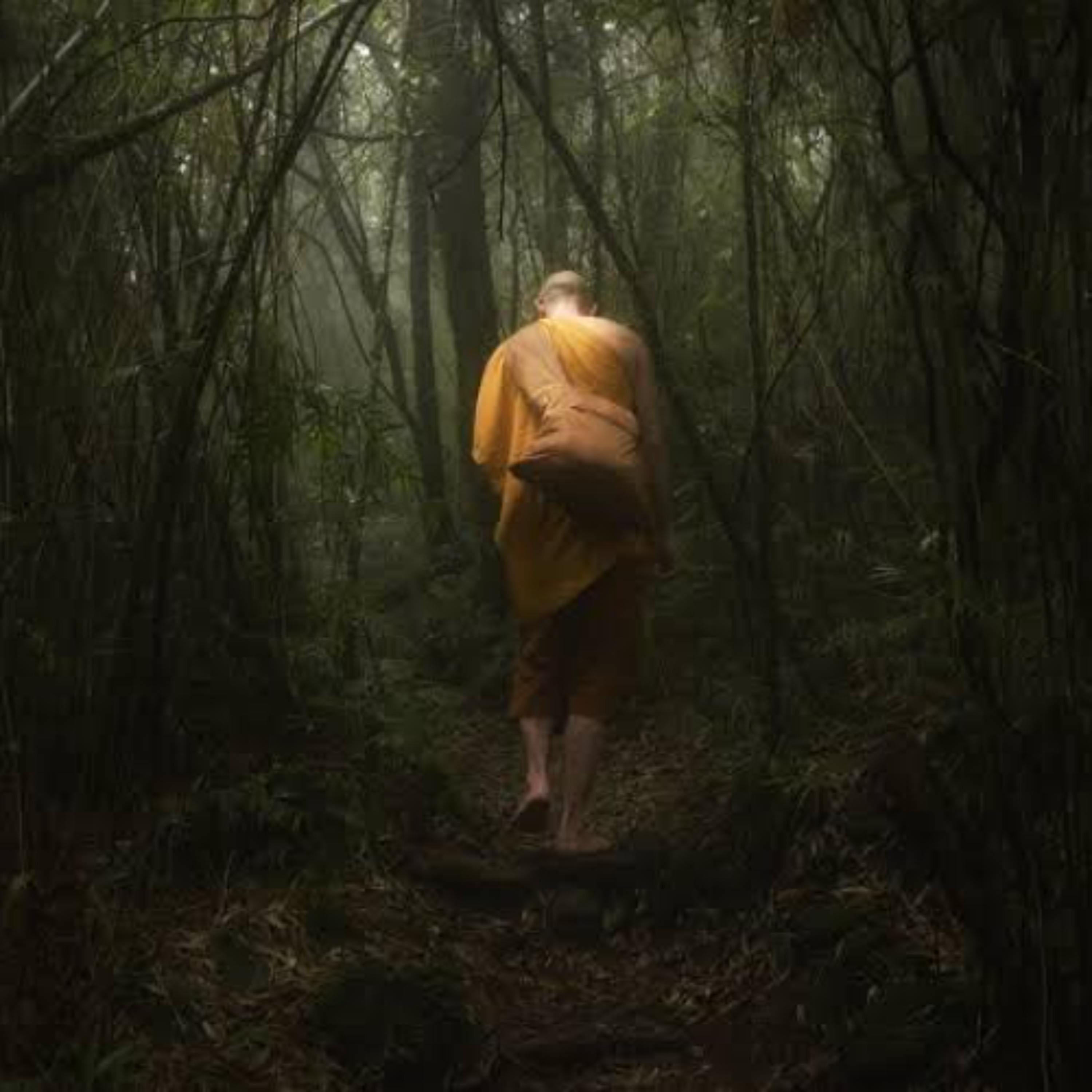 Finding A Sherpa episode artwork