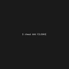 FILE003