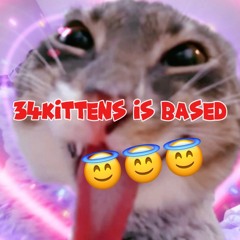 intro34kittens prod me *mixed by winter20*