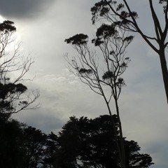 Soul-CTRL : 97Mack (11/9/20)