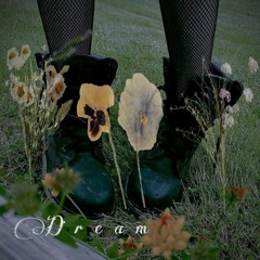 Dream