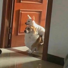 Super bn (Demo guitarra ante de que se llamara super bn)