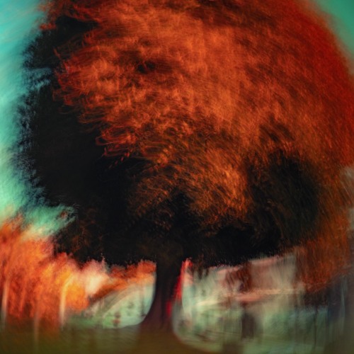 Cottagecore Genre Stream CottageCore by wAMii | Listen online for free on SoundCloud