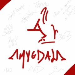 Fresh303 - Amygdala