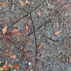 Tomoko Aran-Nostalgia_part