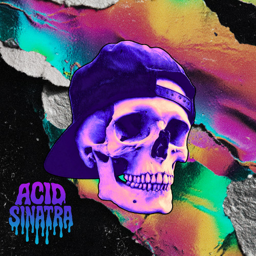Acid Sinatra - Glitch in the Matrix