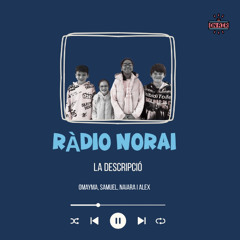 17.11 - LA DESCRIPCIÓ - 3r