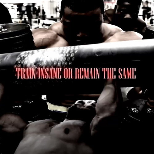 TRAIN INSANE OR REMAIN THE SAME