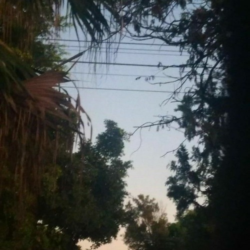 Abandonem toda amargura, todo ódio e toda raiva.Nada de gritarias insultos e maldades...