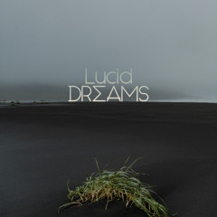 Lucid Dreams #61 by Darius Dudonis