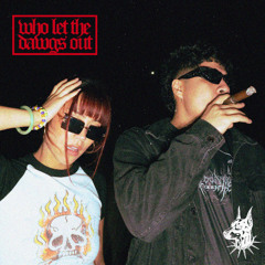 WHO LET THE DAWGS OUT (MURSA & EFFY REMIX)