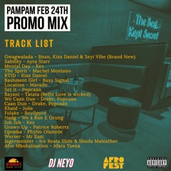 PamPam Feb 24th Mix