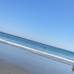 Miss A Friend - Black Rhyno