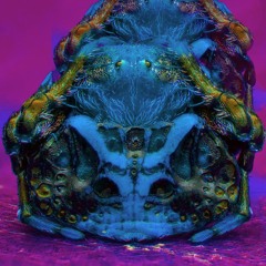 The Devil Made Me Do It