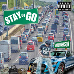 Stay Or Go [JRJRJR REMIX]