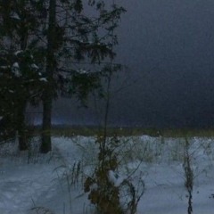 Mis últimas palabras