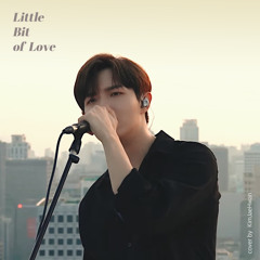 김재환 - Little Bit of Love