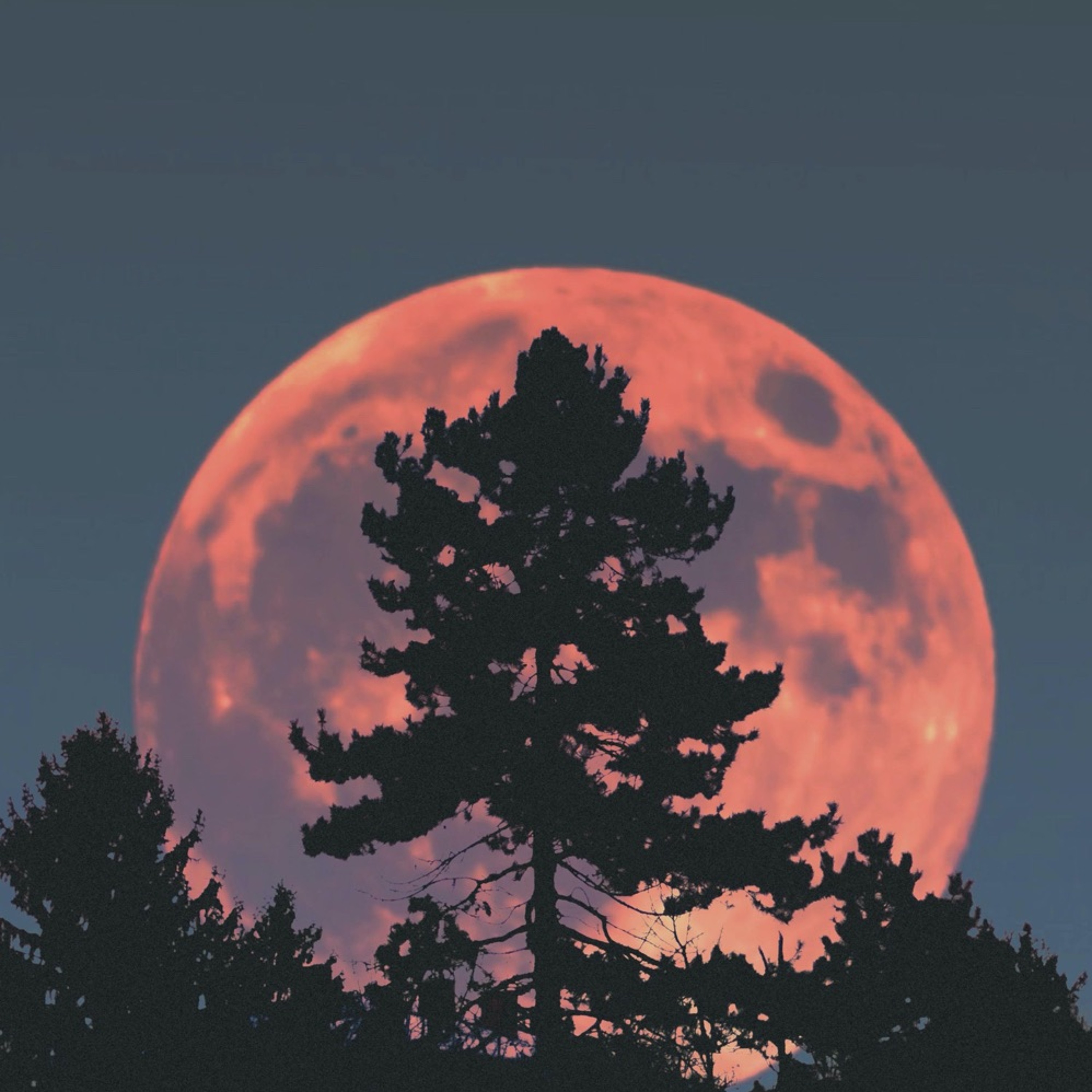 Using Nature's Cycles To Plan, Strategize & Execute In Your Business
