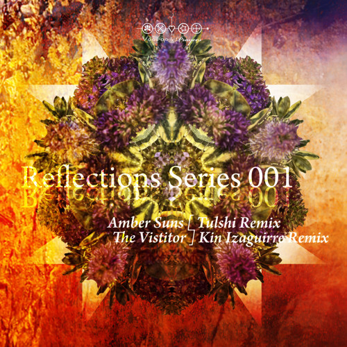 Reflections 001: Tulshi - The Visitor (Kin Izagurrie Remix) [Voodoo & Prayers]