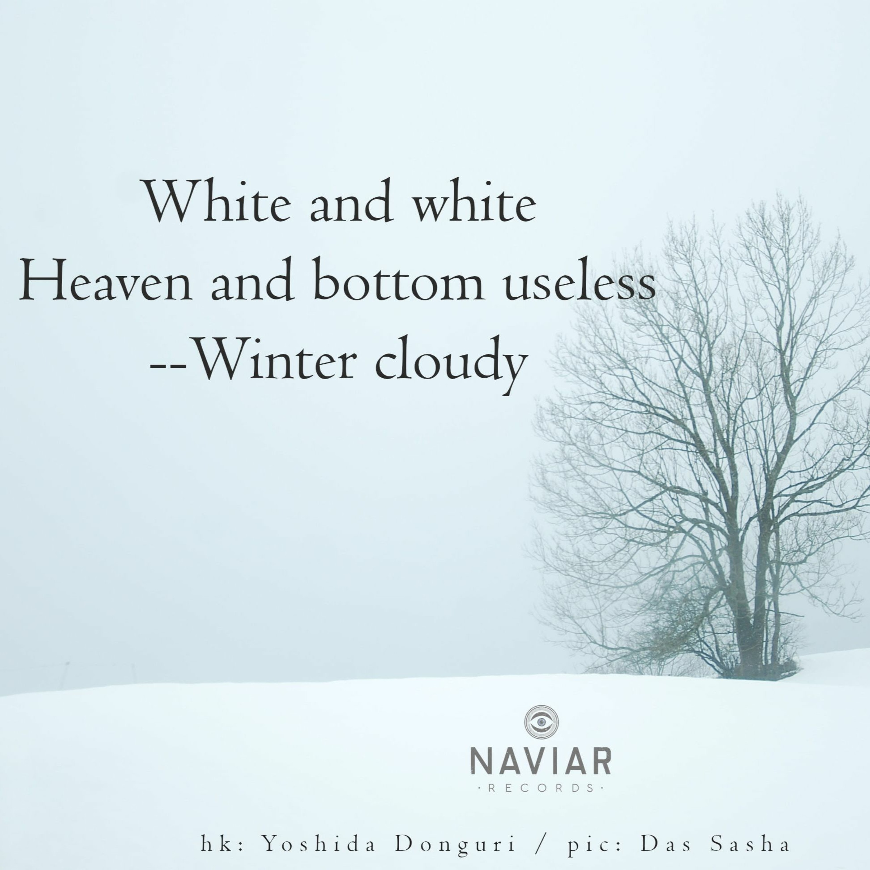 Electric Echoes In A White Sky (naviarhaiku421)