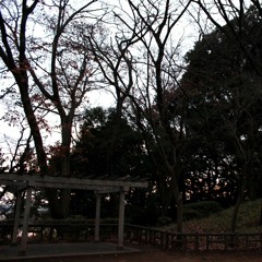 Japan, 31 December - 1 January, Tamagawadai Park overnight, 4:45pm-1:30pm