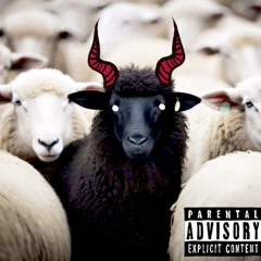 Black Sheep