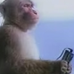 idk what 2 do wit this beat