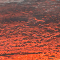 red waters